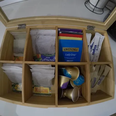 Loft With Garden View And Garage * Brașov