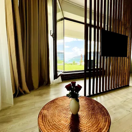 Апартаменты Loft With Garden View And Garage Брашов