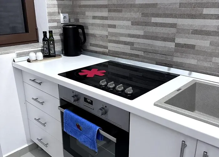 Loft With Garden View And Garage 公寓 布拉索夫