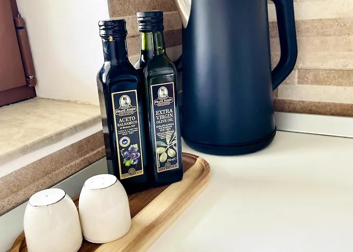 Loft With Garden View And Garage 布拉索夫