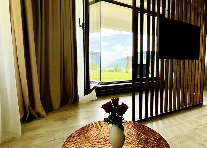 公寓 Loft With Garden View And Garage 布拉索夫